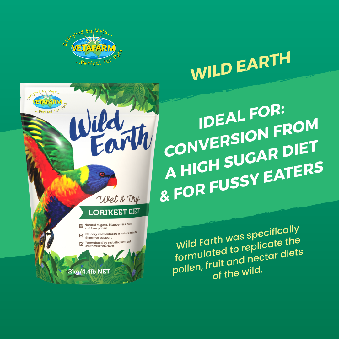Bird Eastern Distributors Australias largest bird product wholesaler